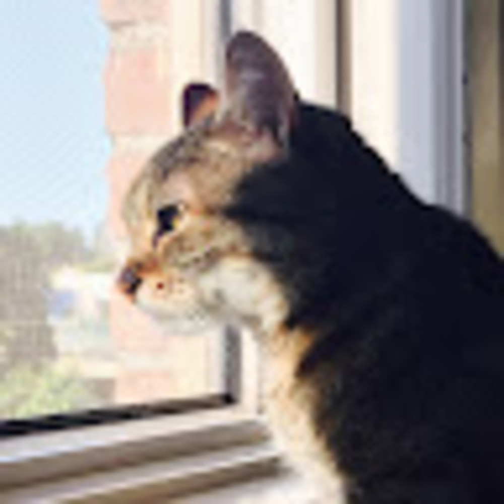 Meet your Posher, Woojoo